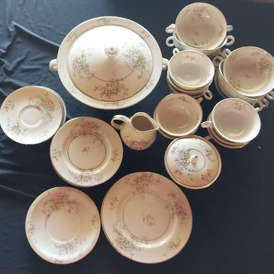 LOVELY THEODORE HAVILAND "APPLE BLOSSOM" DISHES