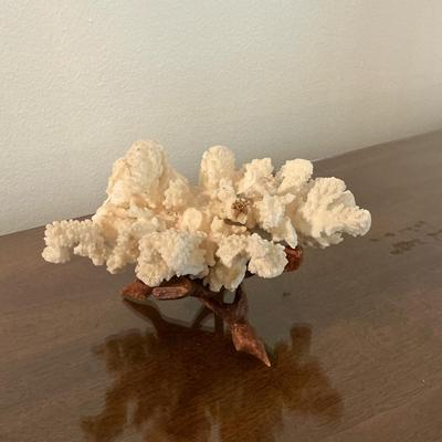 Coral
