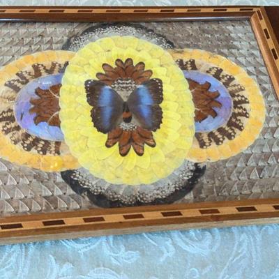 Brazilian Butterfly Wooden Tray
