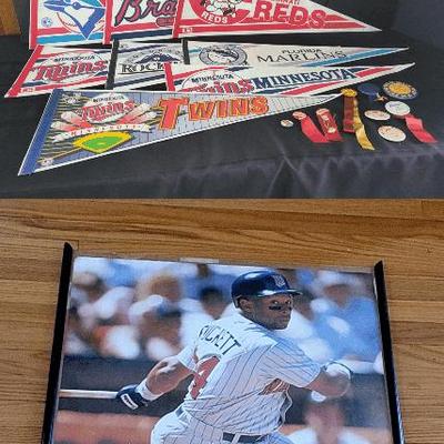 Sports Pins & Pendants + (BR1)