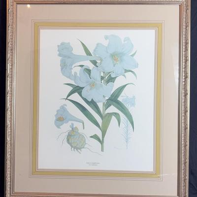 “Lilium Longiflorum” Art Print 