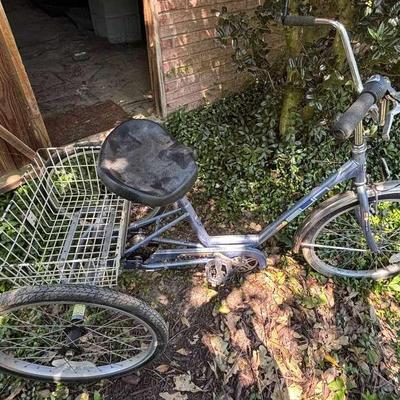 Miami Sun Adult Tricycle with Rear Basket
