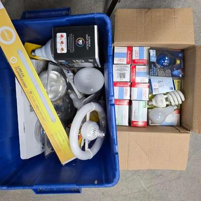 Ct543 light bulb mystery lot