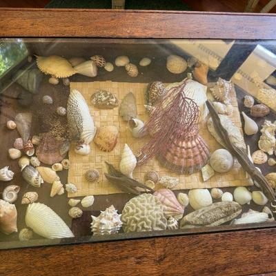 Sale Photo Thumbnail #150