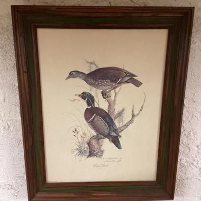 Sale Photo Thumbnail #224: Ducks on a branch