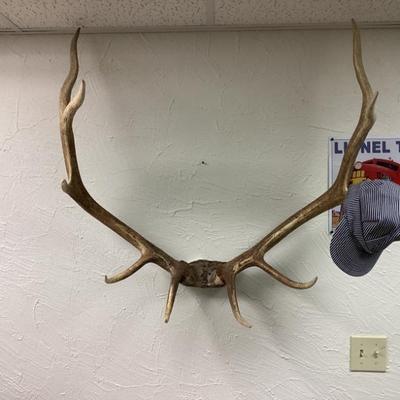 Sale Photo Thumbnail #39: Antler hat rack with conductors hat