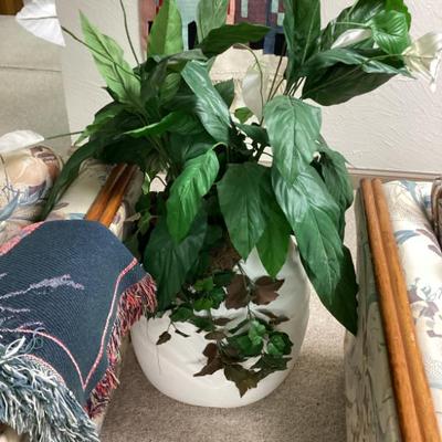 Sale Photo Thumbnail #91: Potted plant