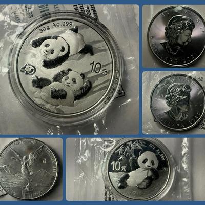Mexican, Chinese, Canadian 1 oz & 30 Gram .999 Silver Coins 