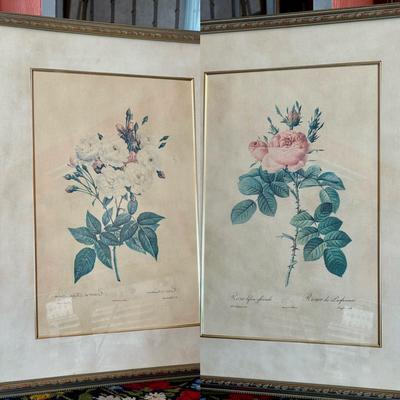 (2) Pierre-Joseph Redouté Prints