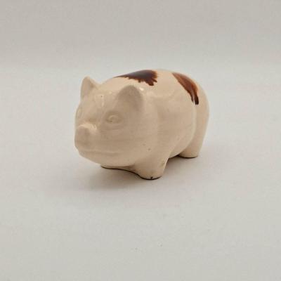 Piggy Bank with Coins