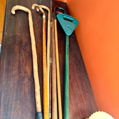 Canes/Walking Sticks Lot