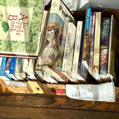 Art Book Mystery Lot