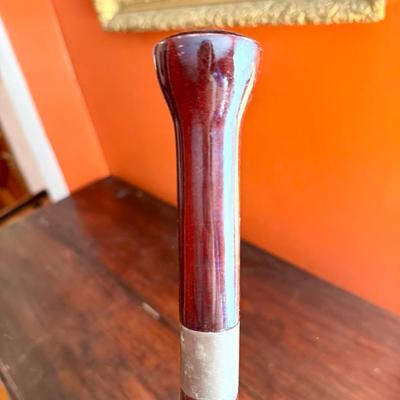 Elegant Walking Stick/Cane