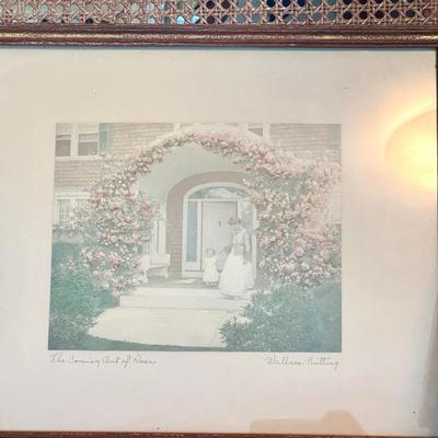 The Coming Out Of Rosa By Wallace Nutting 