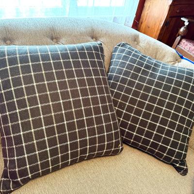 (2) Down Mix Pillows