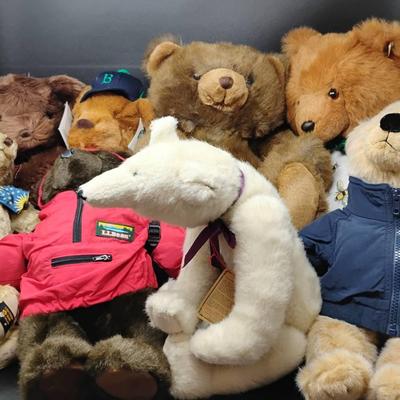 Large Teddies Of Distinction 