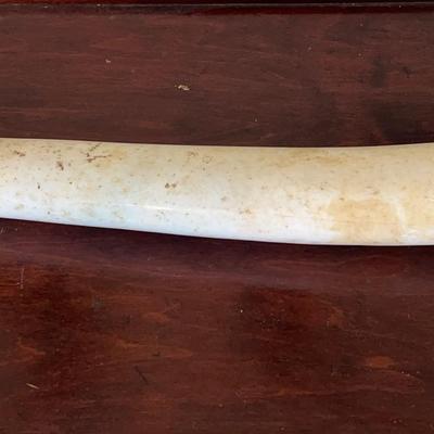 Fossilized Walrus Oosik Bone 