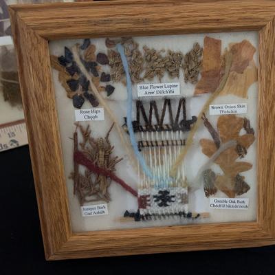 Navajo Dye Chart With Plant Samples In Box And Framed Print