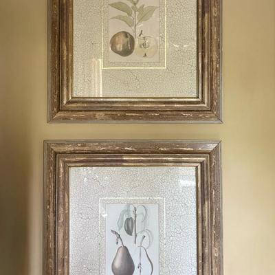 Framed Botanical Prints