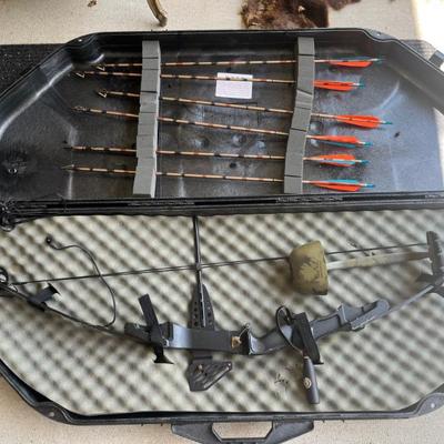 Compound Bow and Arrow 
