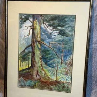 Fir tree titled watercolor painting hatley park victoria, bc