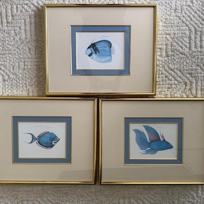 3 Decorative Fish Prints by Jean Cassady Signed &numbered