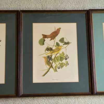 John James Audubon Birds Of America 