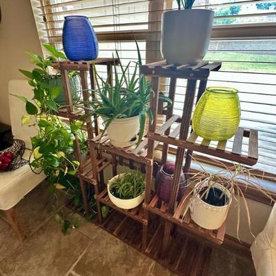 Team Plant Stand w/ Live Plants 