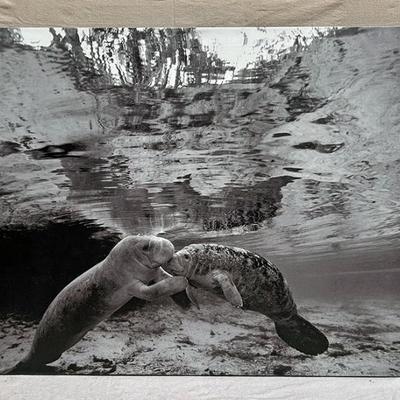 Sale Photo Thumbnail #35