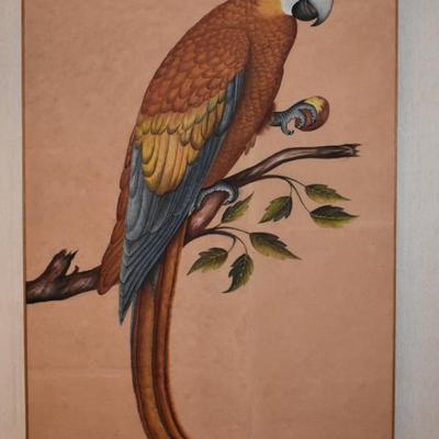 Sale Photo Thumbnail #9: Psittacus Maximus Aldr (ovandi) Canvas Nicolas Robert