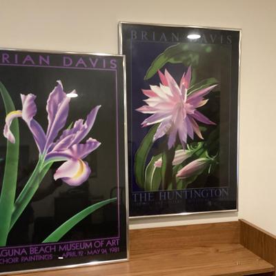 Pair Of Brian Davis Framed Prints