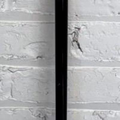 Antique Walking Stick/Cane With Engraved Silver Top, Dated 1888