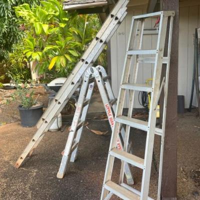 NFF132- Multiple Large Ladders
