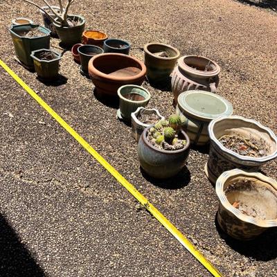 NFF127- ! Huge Lot Of Ceramic Pots & Plants!!! 