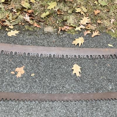 Antique Crosscut Saws