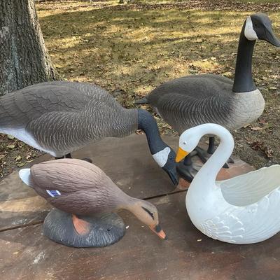 Duck, Swan & Geese Lawn Decor