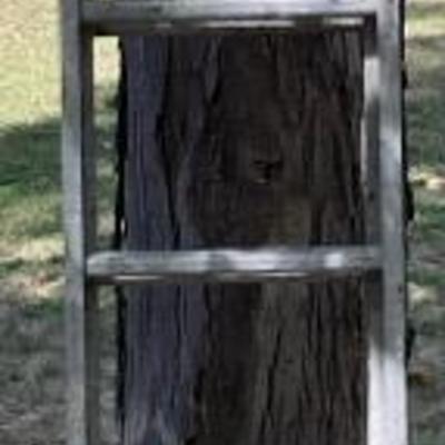 Metal Extension Ladder