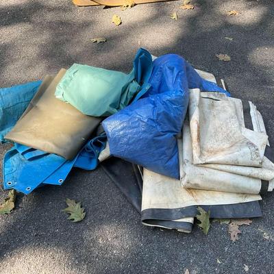 Assorted Tarps