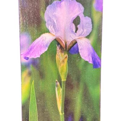 Sale Photo Thumbnail #1033