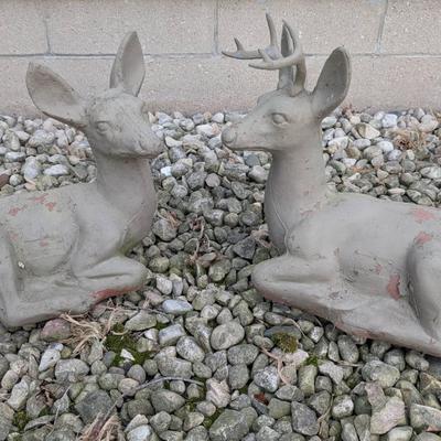 Concrete Buck and Doe