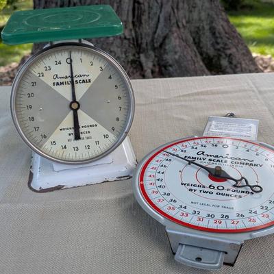 American Family Scales
