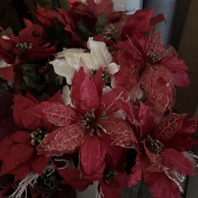 Well, it’s not that time it’s beginning to look like Christmas poinsettia