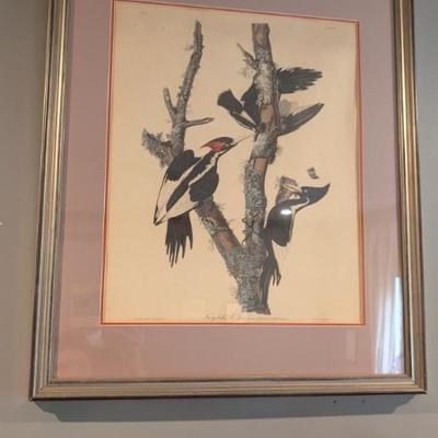 Sale Photo Thumbnail #37