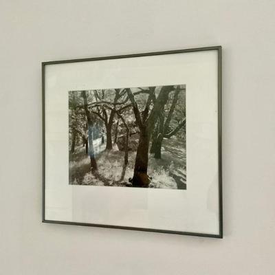 Sale Photo Thumbnail #59
