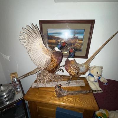 Sale Photo Thumbnail #74