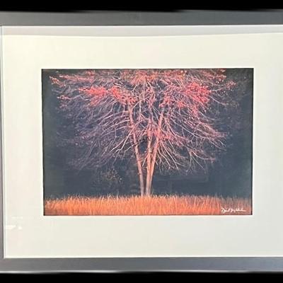Sale Photo Thumbnail #150