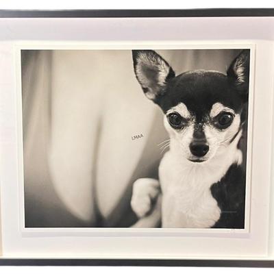 Sale Photo Thumbnail #232