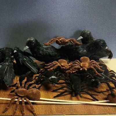 Spiders And Crows