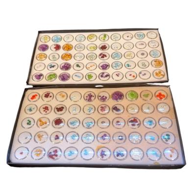 Beginners Gemstone Collection Lot 10