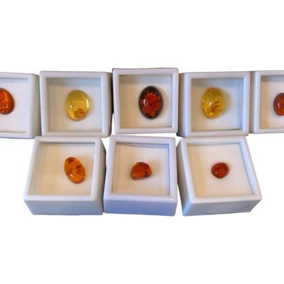 Seven Oval And One Natural Shaped Amber Stones, One Has Floral Cameo, Some Have Insect Inclusions